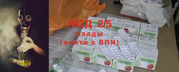 крисы Баксан