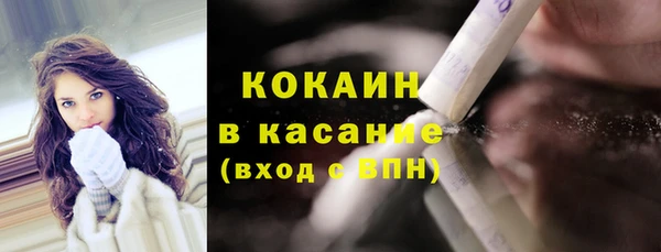 крисы Баксан