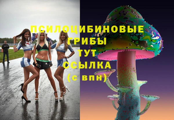 амф Аркадак