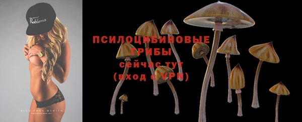 2c-b Магадан