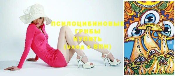 крисы Баксан