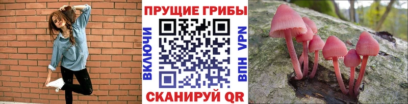 гидра ТОР  Рыбинск  Псилоцибиновые грибы Psilocybe 